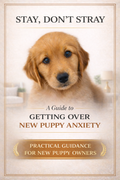 Stay, Don't Stray: A Guide to Getting Over New Puppy Anxiety
